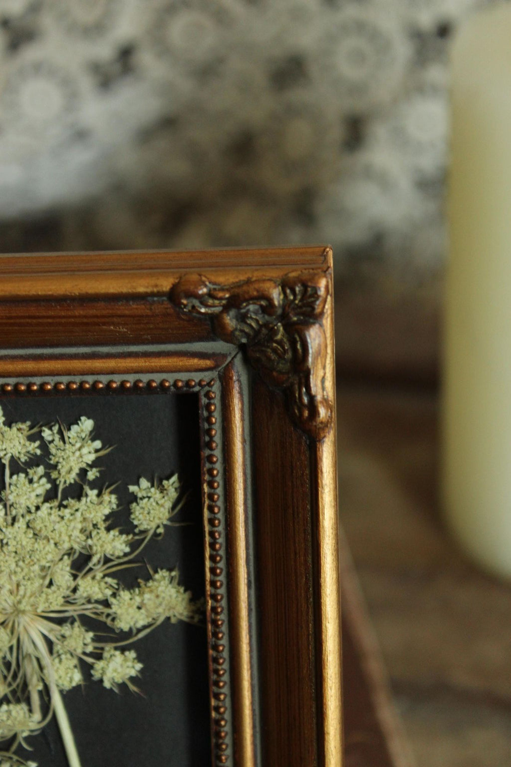 Pressed Dried Queen Annes Lace Wildflower