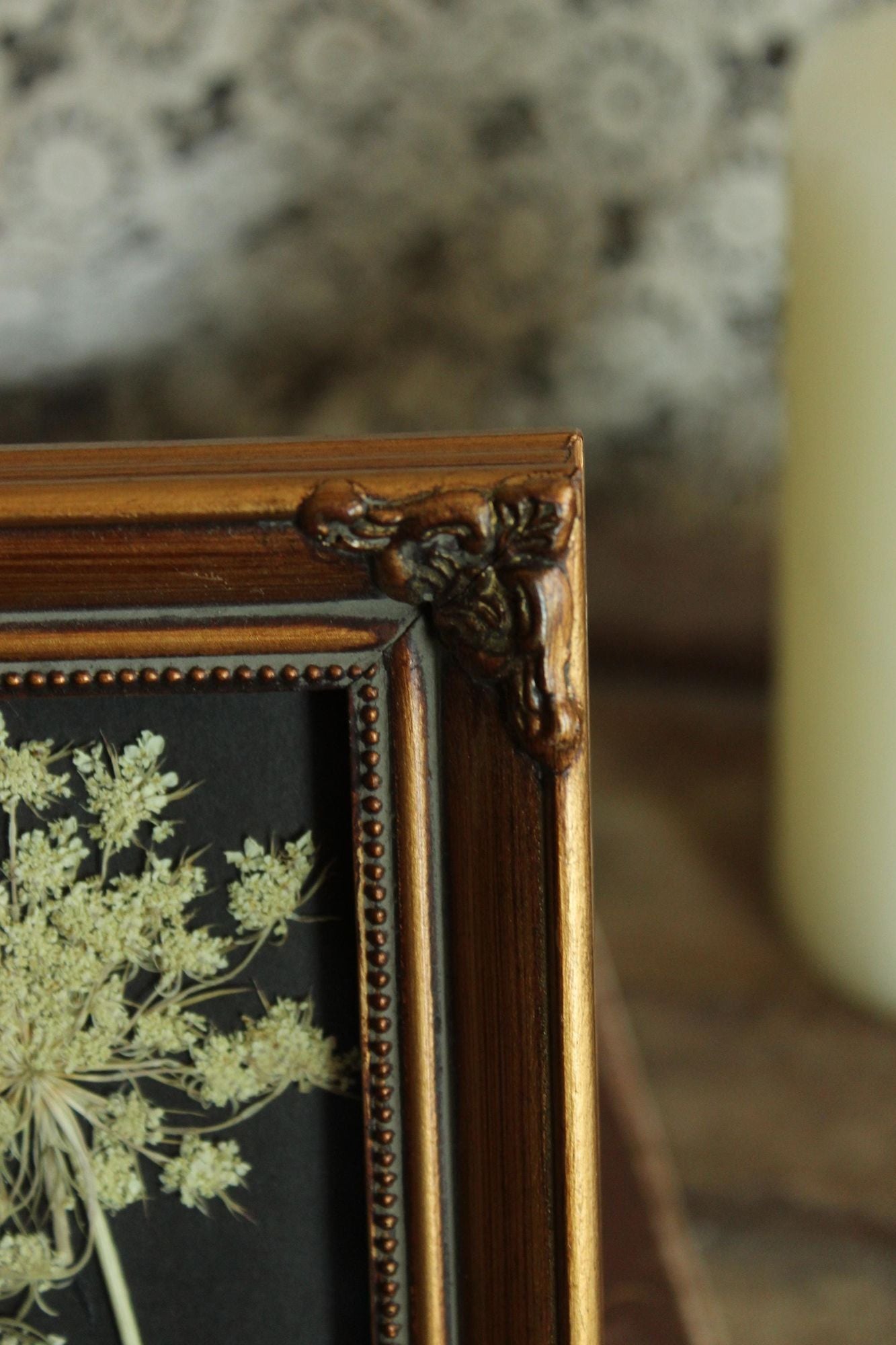 Pressed Dried Queen Annes Lace Wildflower