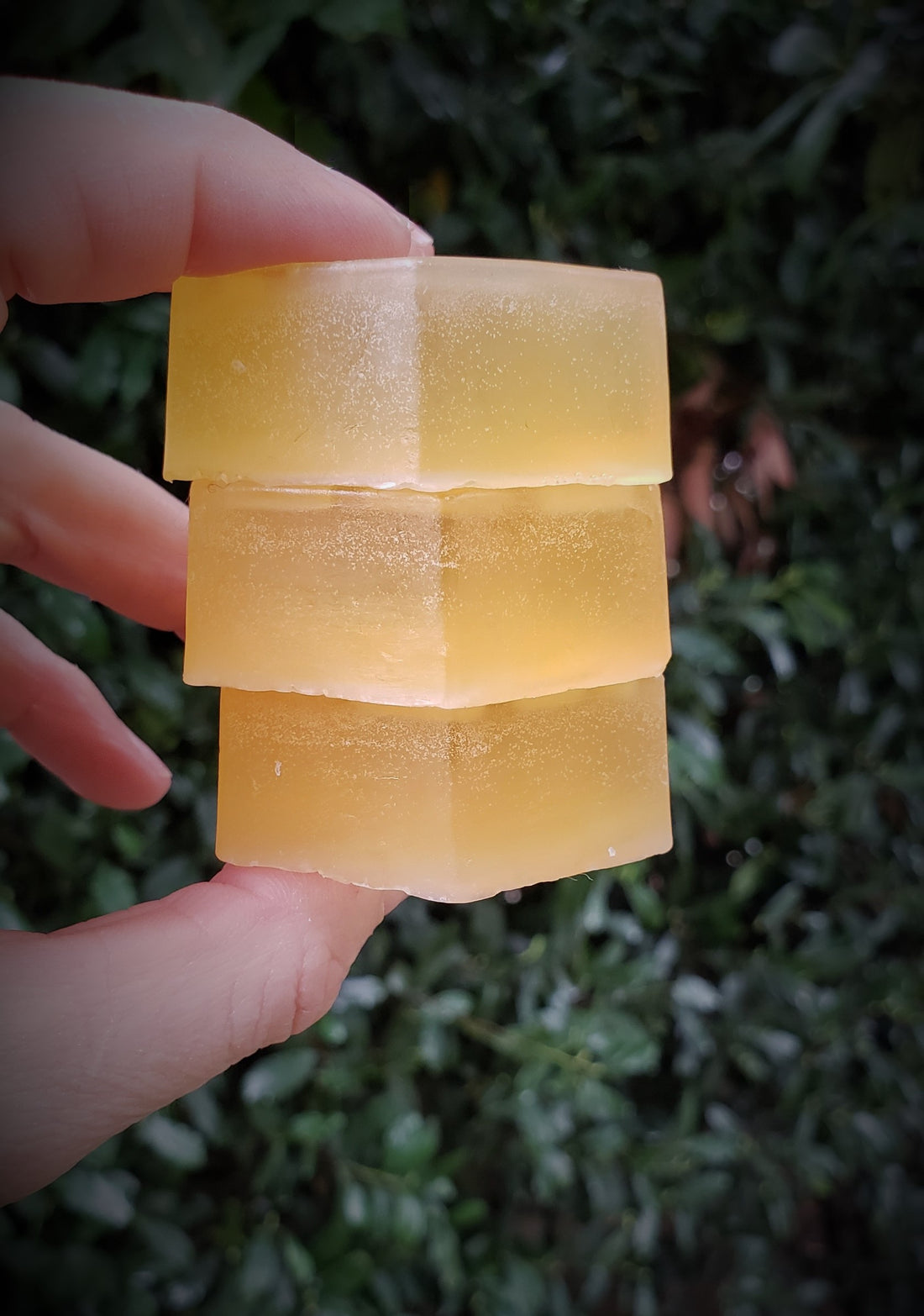 "The Bees Knees" Handmade Honey Glycerin Soap Scented with Honeysuckle
