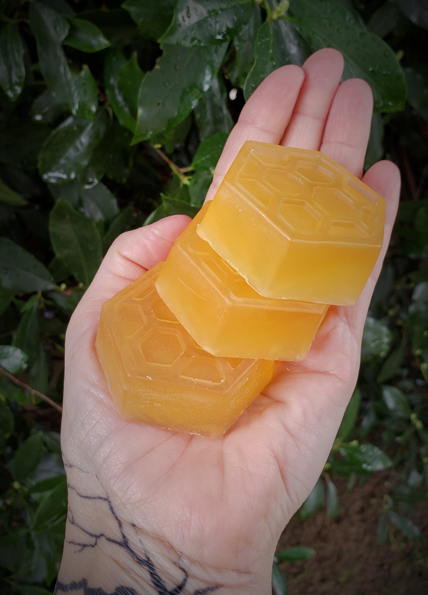 "The Bees Knees" Handmade Honey Glycerin Soap Scented with Honeysuckle