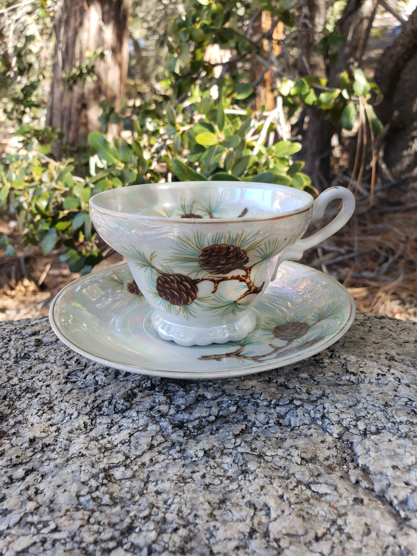 Vintage Acorn Tea Cup and Saucer