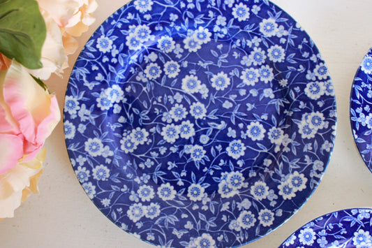 Vintage Blue and White Porcelain Plates, Willowwae style