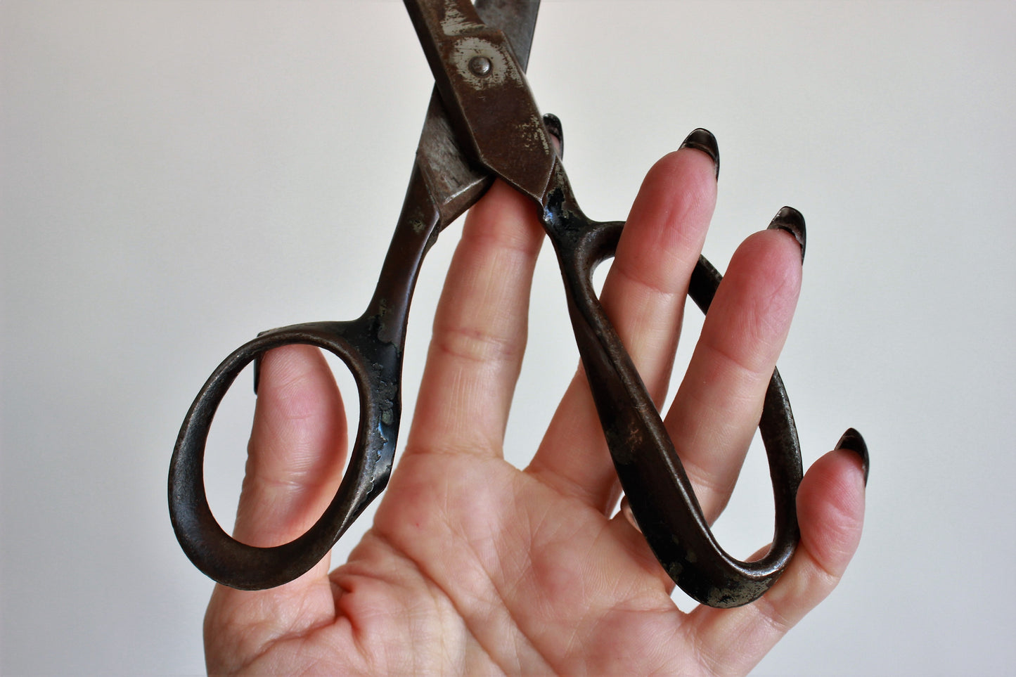 Antique 1800s R. Heinisch Scissors