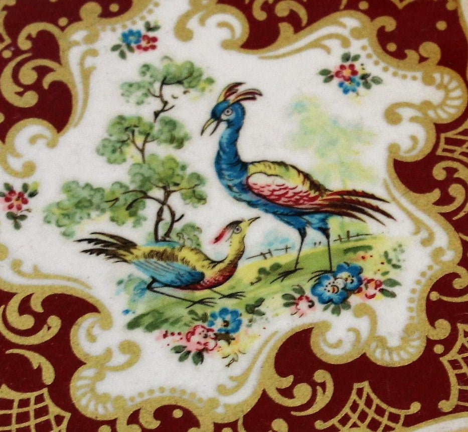Vintage 1950s Peacock Print Enamel Compact