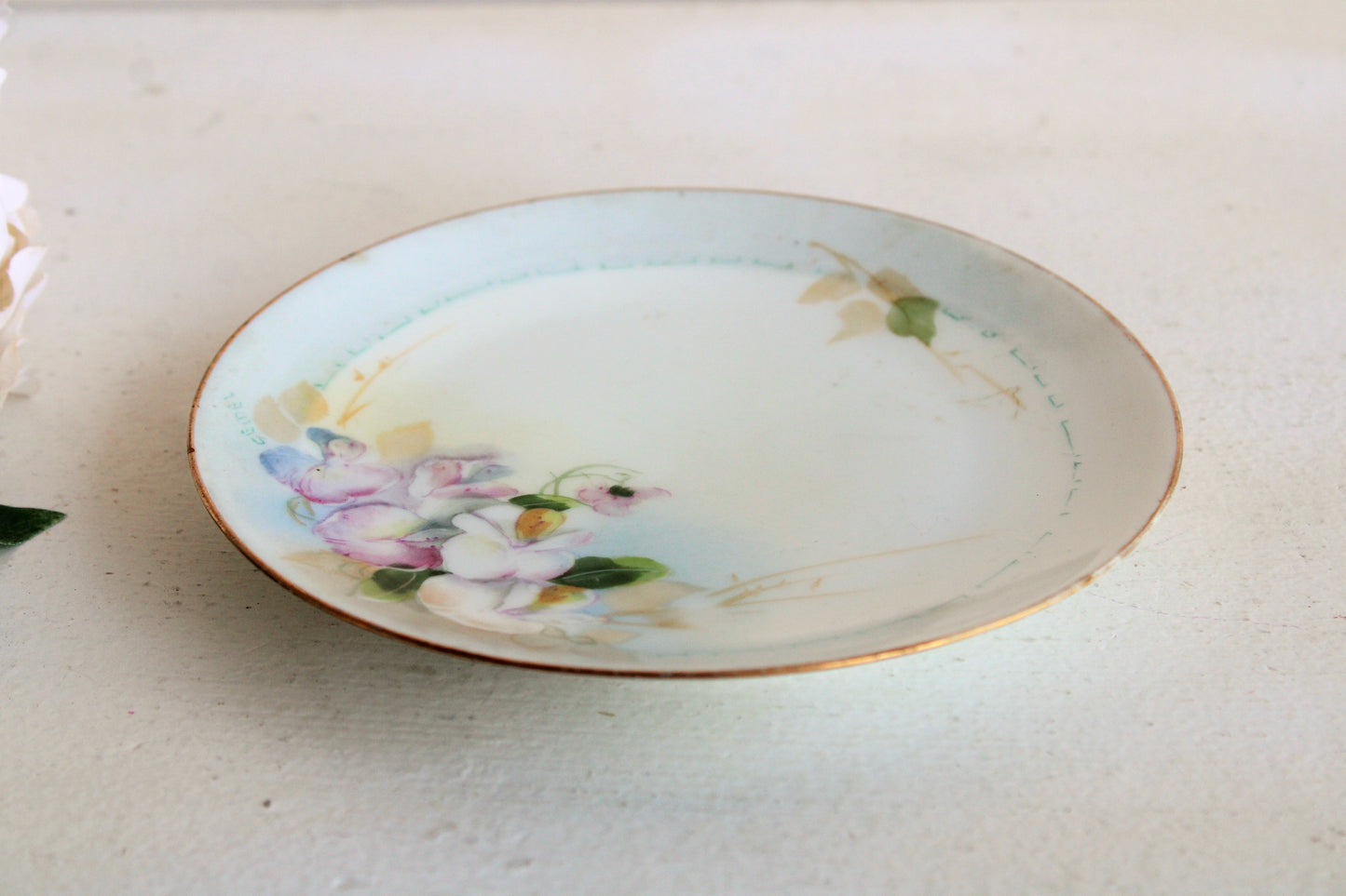 Vintage 1910s 1920s Thomas Bavaria Small Floral Plate