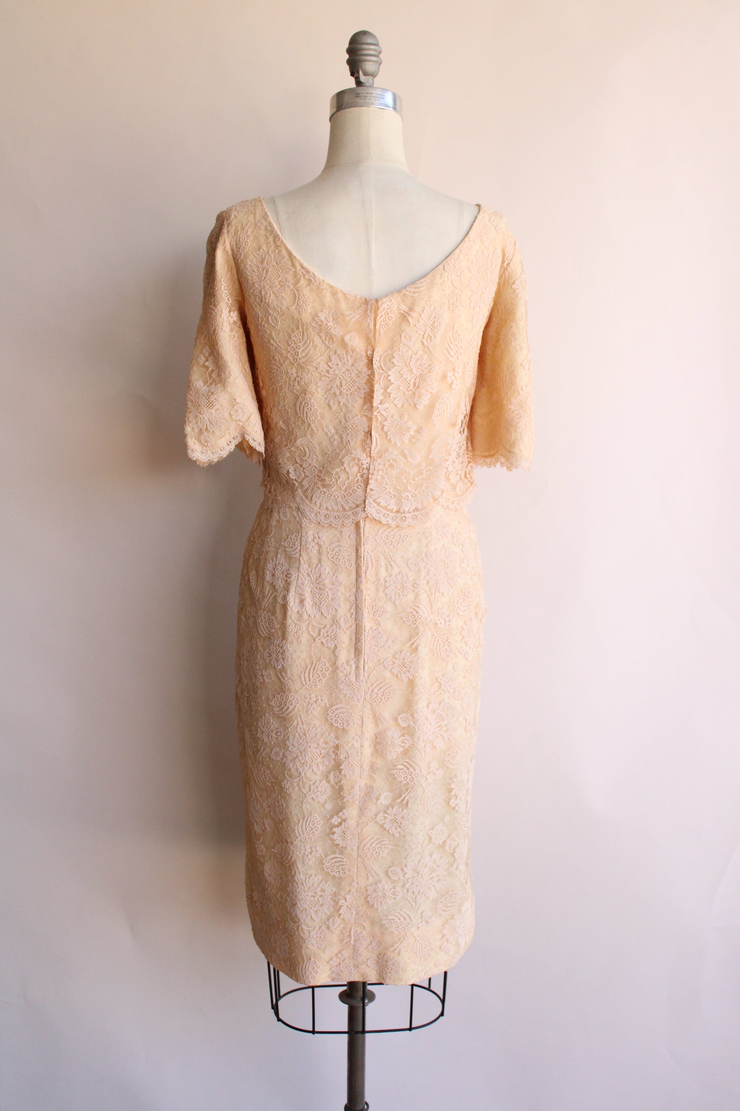 Vintage 1960s Blush Illusion Lace Dress