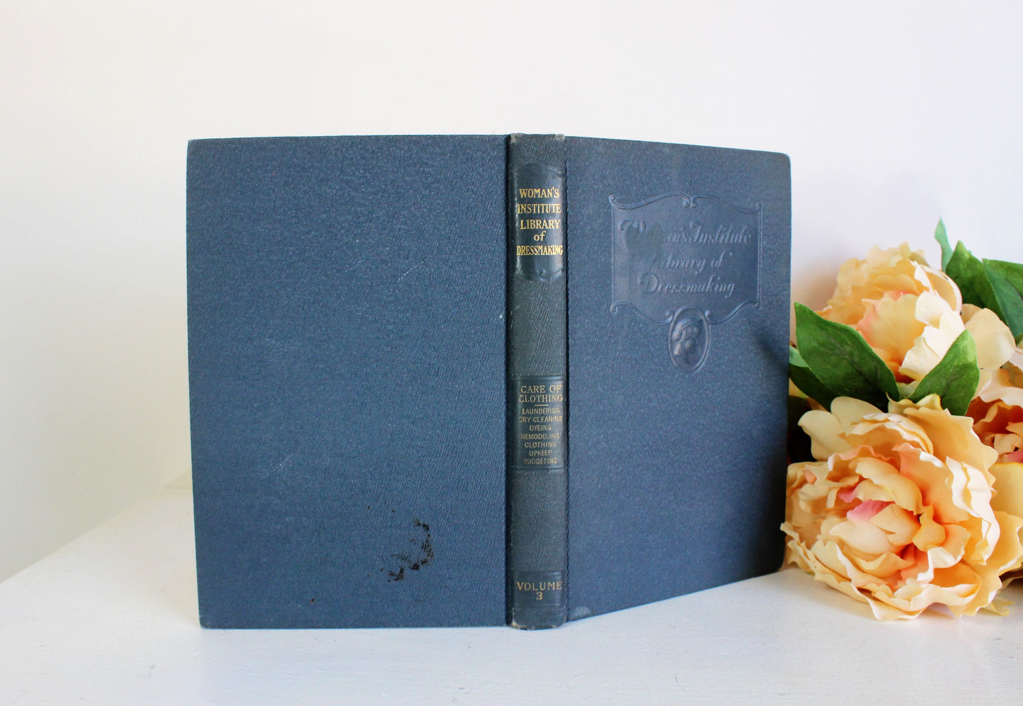 Vintage 1920s Book, Care of Clothing, Women's Institute of Dressmaking, Volume 3