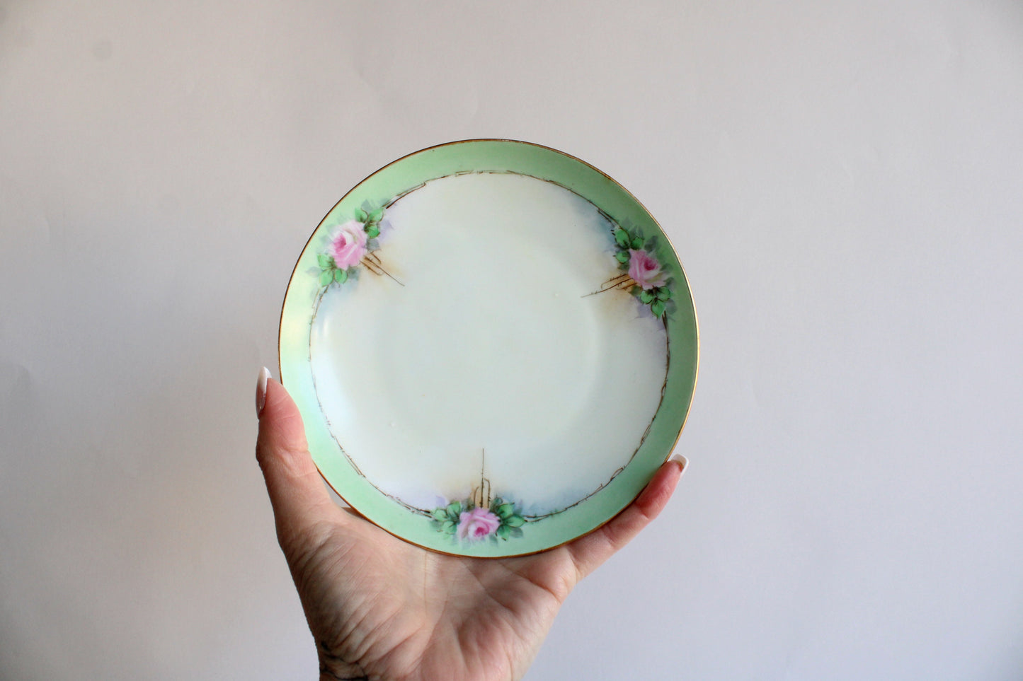 Vintage 1920s 1930s Plates from Czechoslovakia, Union T