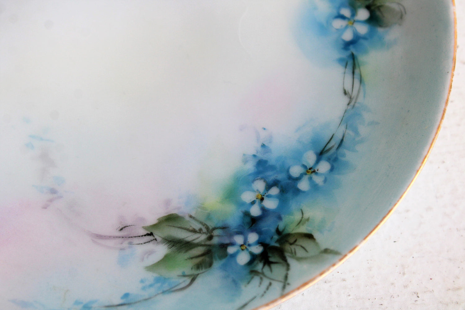 Vintage 1910s 1920s Thomas Sevres Bavaria Small Floral Plate