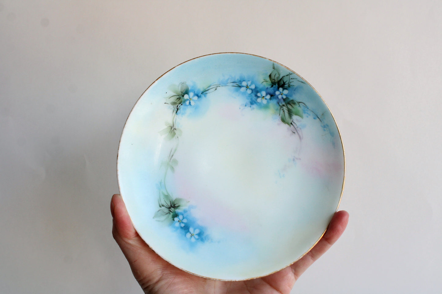 Vintage 1910s 1920s Thomas Sevres Bavaria Small Floral Plate